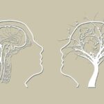 Zapomnětlivost vs. Zapomětlivost: Co je Častější? 14 Zapomnětlivost vs. Zapomětlivost: Co je Častější?