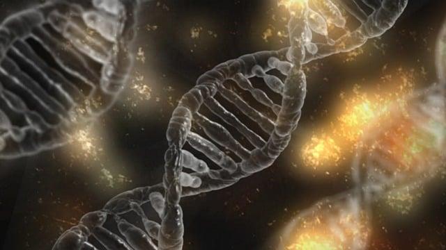Biochemie: Proč je tento obor tak lákavý pro studenty?