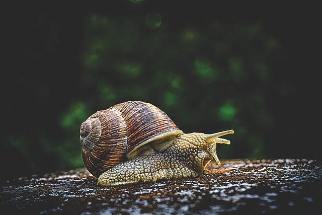 Pomalu nebo Po Malu: Kdy Použít Které?