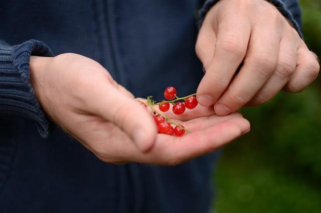 Důležité gramatické ⁢a​ pravopisné pravidla