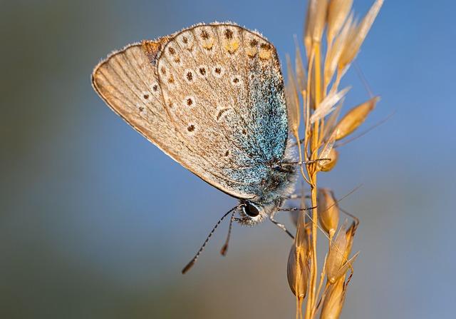 Biologie a antropologie: významné souvislosti