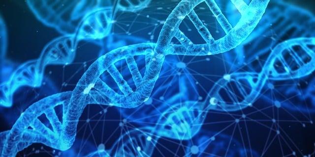 Chemie: Polysacharidy – Složité Cukry Jednoduše