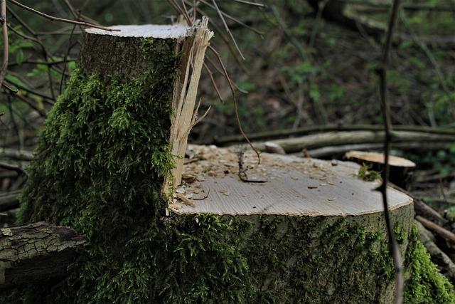 Důležitost pravidelné inventarizace pro efektivní řízení podniku