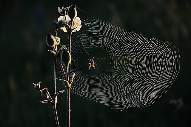 Common Chyby při Psaní Podloubí nebo Podhloubí