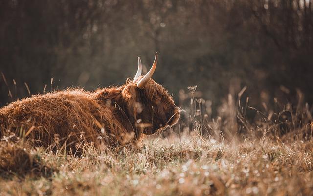 Zoo: Jak napsat název správně