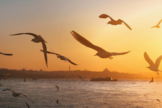 Istanbul nebo Istambul? Průvodce Správným Výběrem