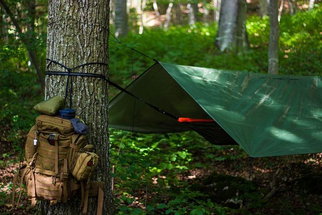 Přežít vysokou školu: Tipy pro studenty