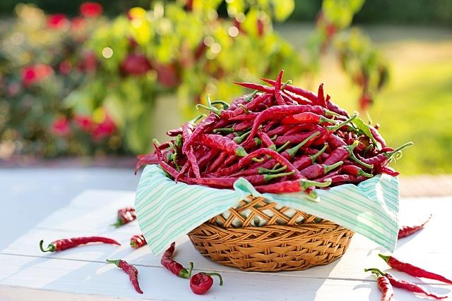 Nejlepší způsoby, jak použít chilli nebo cili při vaření