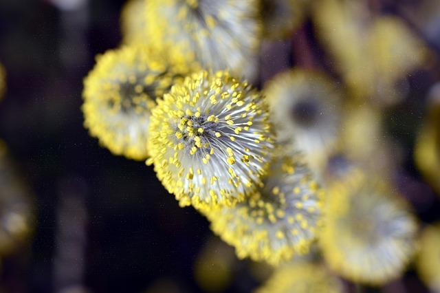 Jak Postupovat, Pokud Trpíte Alergií na Textil