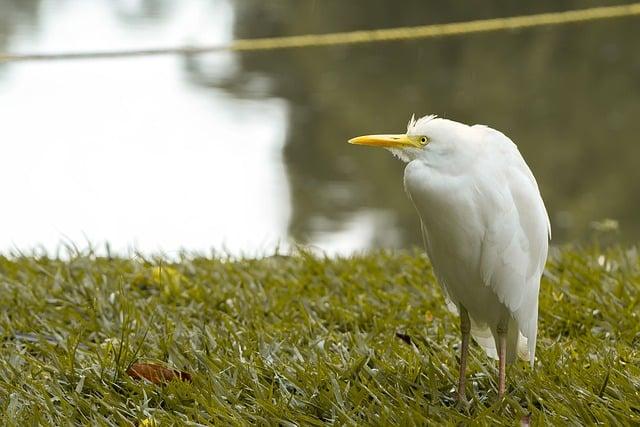 Důležitost environmentální výchovy ve škole v přírodě