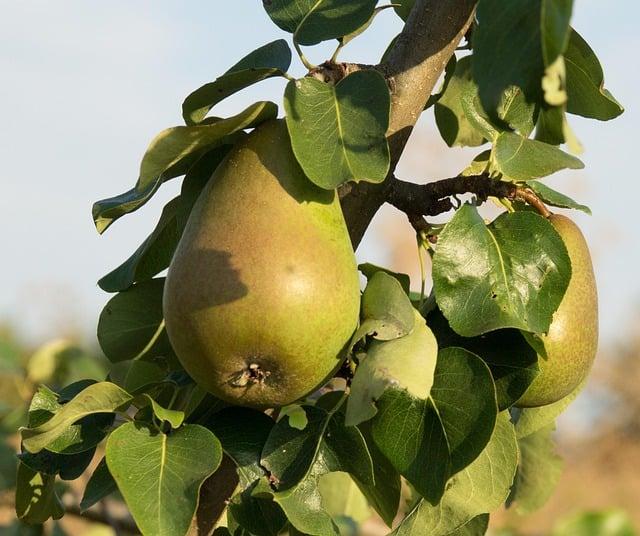 Nutriční doporučení pro správné hydrataci během dne