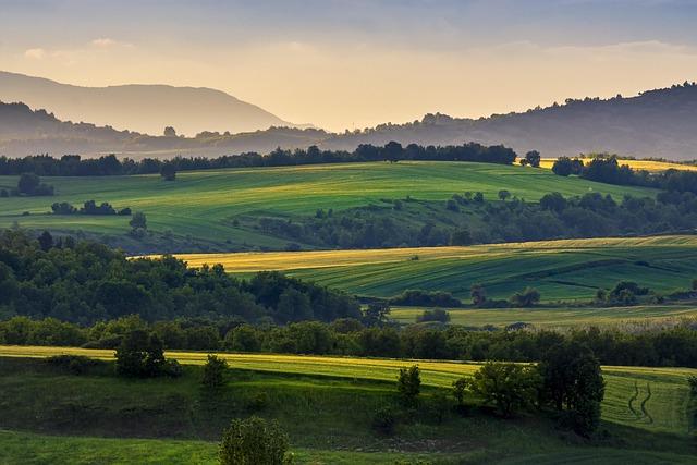 Role slovenštiny ve studiu jako motivace ke zkoumání slovanských jazyků