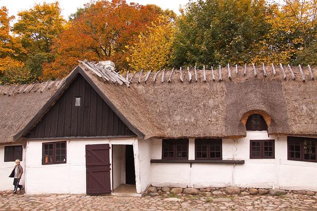 Historie titulu Skanzen a Skansen