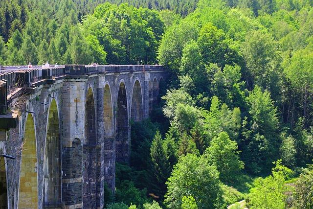 Historie české lingvistiky: Od prvních pokusů až po současnou vědu