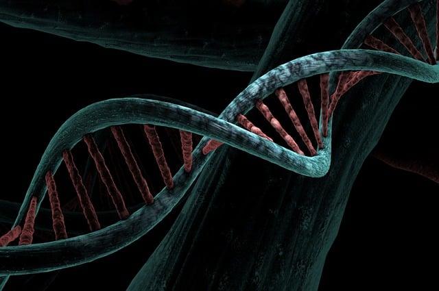 Role genetiky a DNA ve vývoji člověka