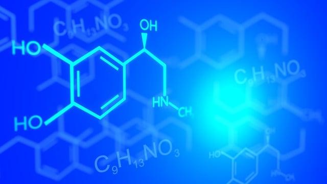 Chemie: Krebsova Cyklus – Maturitní Přehled